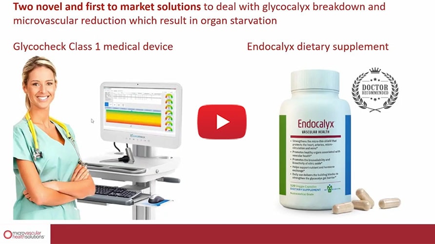 Testing and Detection of Glycocalyx Damage with GlycoCheck copy